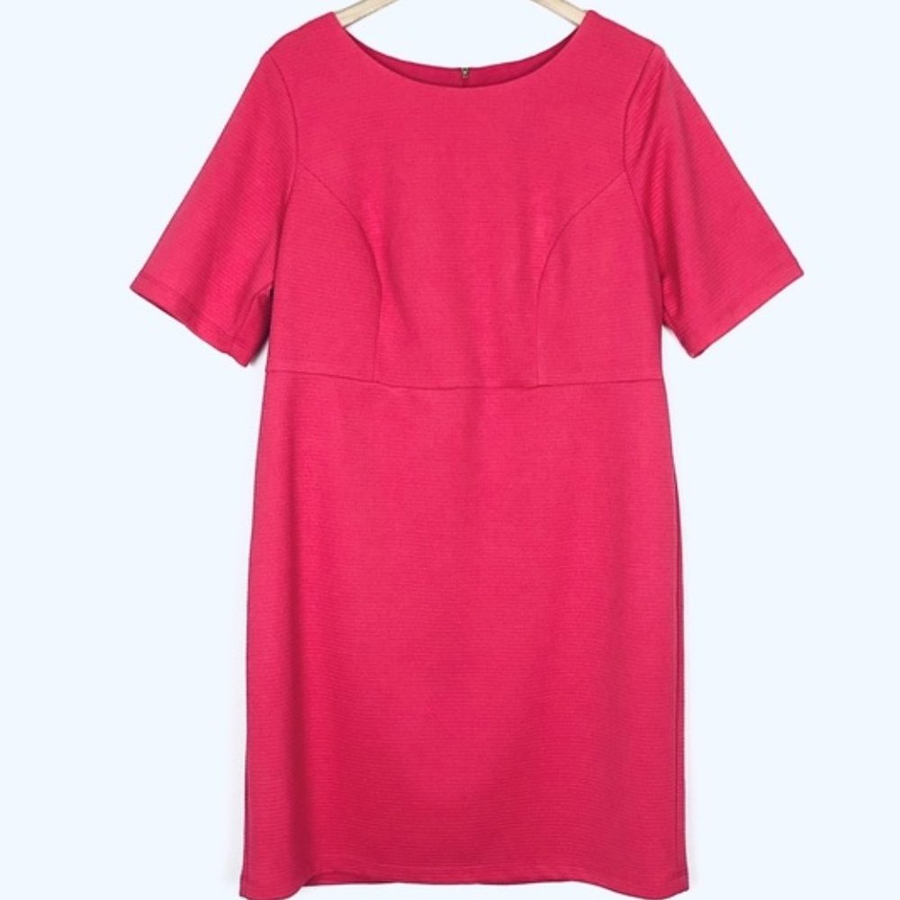 Donna Ricco Pink Sheath Ribbed Short Sleeve Dress